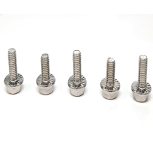 Customized Stainless steel 304 DIN6921 Flat plate Flange bolt